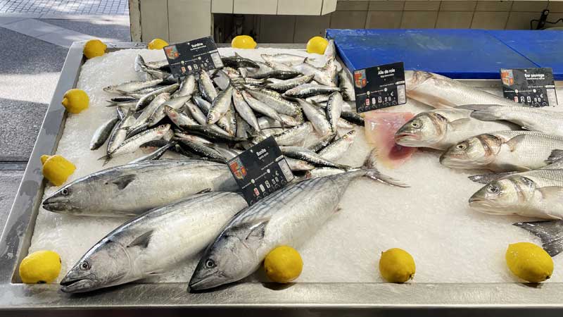 Bancada com peixe para venda